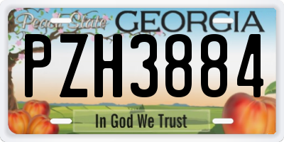 GA license plate PZH3884