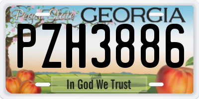 GA license plate PZH3886