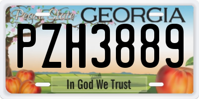 GA license plate PZH3889