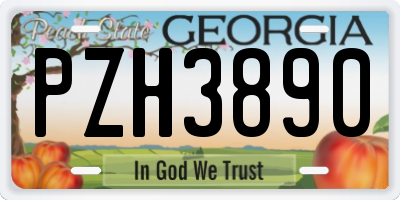 GA license plate PZH3890