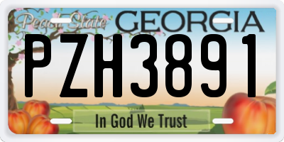 GA license plate PZH3891