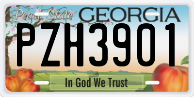 GA license plate PZH3901