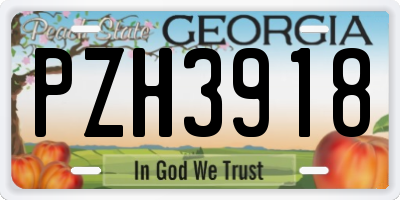 GA license plate PZH3918