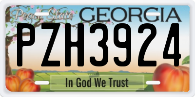GA license plate PZH3924
