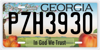 GA license plate PZH3930