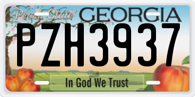 GA license plate PZH3937