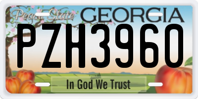 GA license plate PZH3960