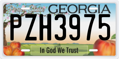 GA license plate PZH3975