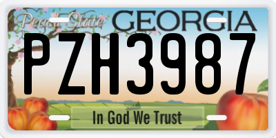 GA license plate PZH3987