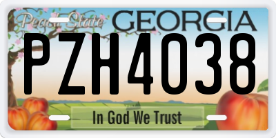 GA license plate PZH4038