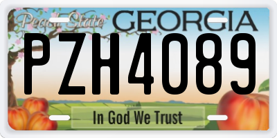 GA license plate PZH4089