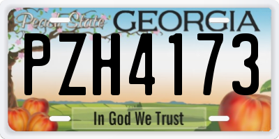GA license plate PZH4173