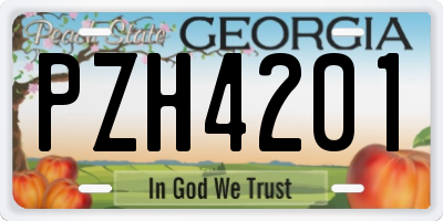 GA license plate PZH4201
