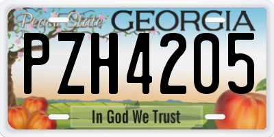 GA license plate PZH4205