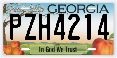 GA license plate PZH4214