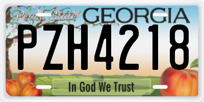 GA license plate PZH4218