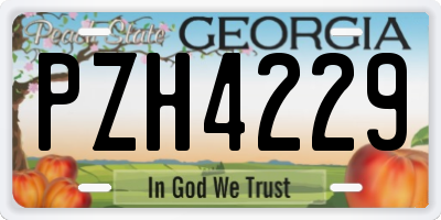 GA license plate PZH4229
