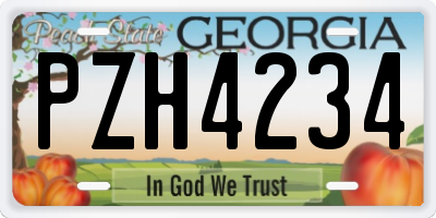 GA license plate PZH4234