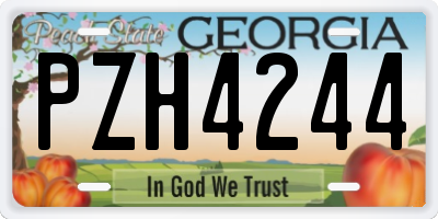 GA license plate PZH4244