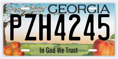 GA license plate PZH4245