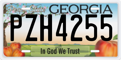 GA license plate PZH4255