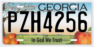 GA license plate PZH4256