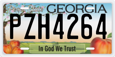GA license plate PZH4264