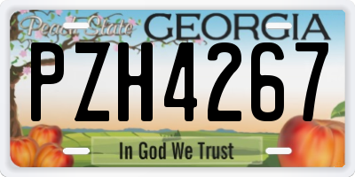 GA license plate PZH4267