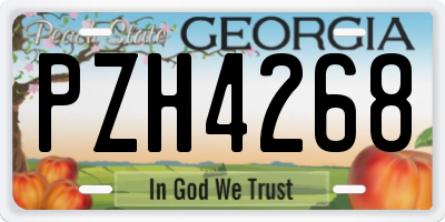 GA license plate PZH4268