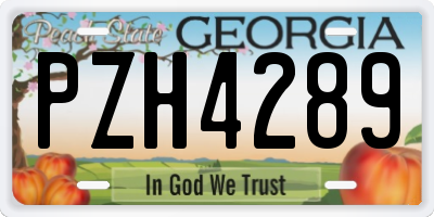 GA license plate PZH4289