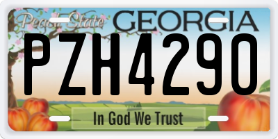 GA license plate PZH4290