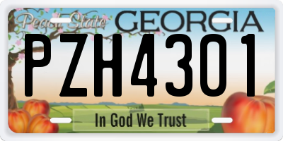 GA license plate PZH4301