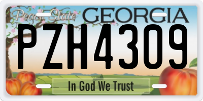 GA license plate PZH4309