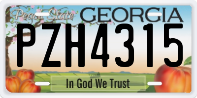 GA license plate PZH4315