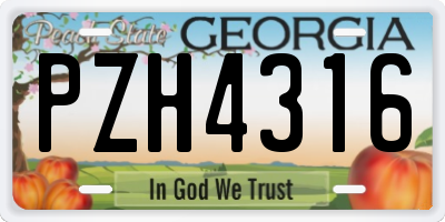 GA license plate PZH4316