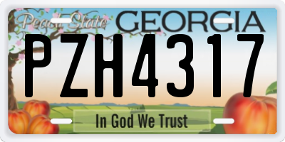 GA license plate PZH4317