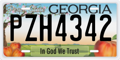 GA license plate PZH4342