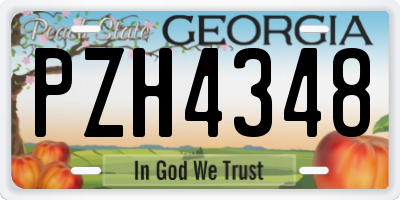 GA license plate PZH4348