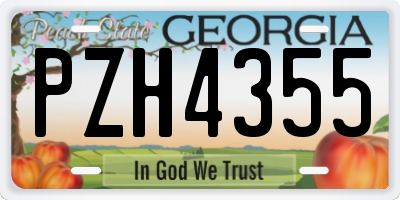 GA license plate PZH4355