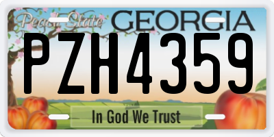 GA license plate PZH4359