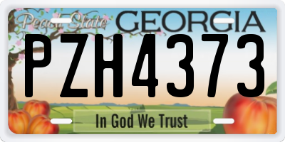 GA license plate PZH4373