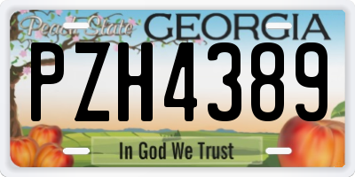 GA license plate PZH4389