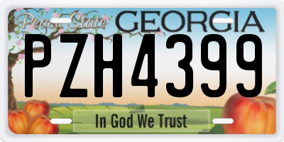 GA license plate PZH4399