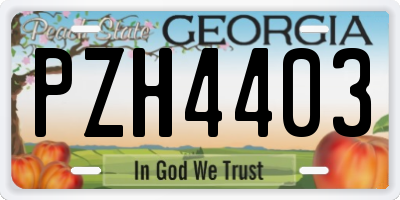 GA license plate PZH4403