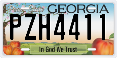 GA license plate PZH4411