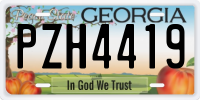 GA license plate PZH4419