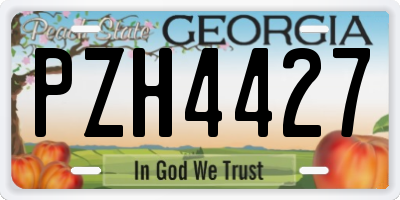 GA license plate PZH4427