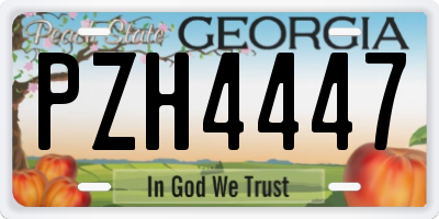 GA license plate PZH4447