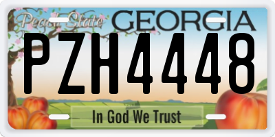 GA license plate PZH4448