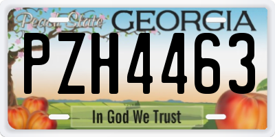 GA license plate PZH4463